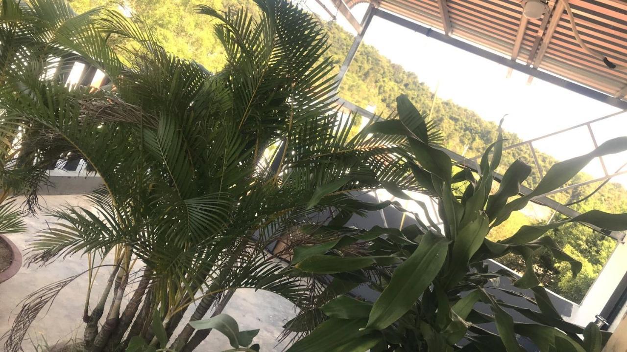 دونغ دونغ Dao Ngoc Home المظهر الخارجي الصورة